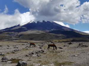 Cotopaxi Excursiones cerca de quito